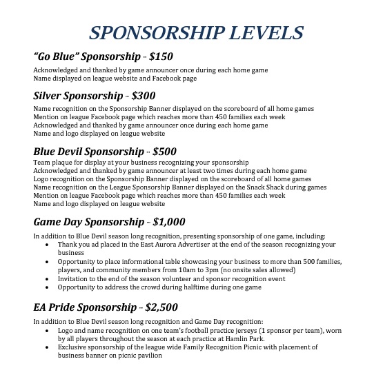 Sponsor 2